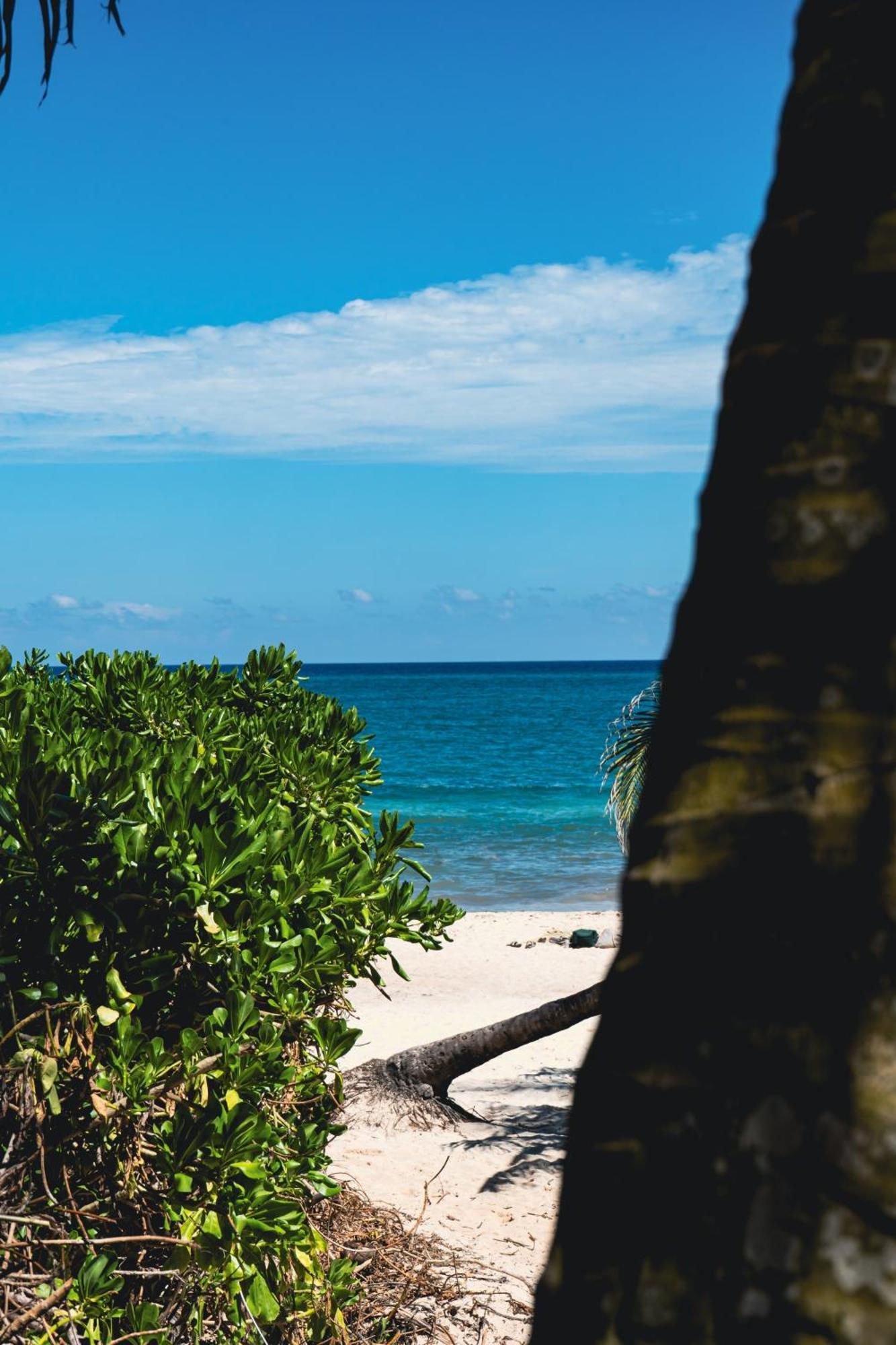 Tunich Jungle Cabanas Tulum Kültér fotó